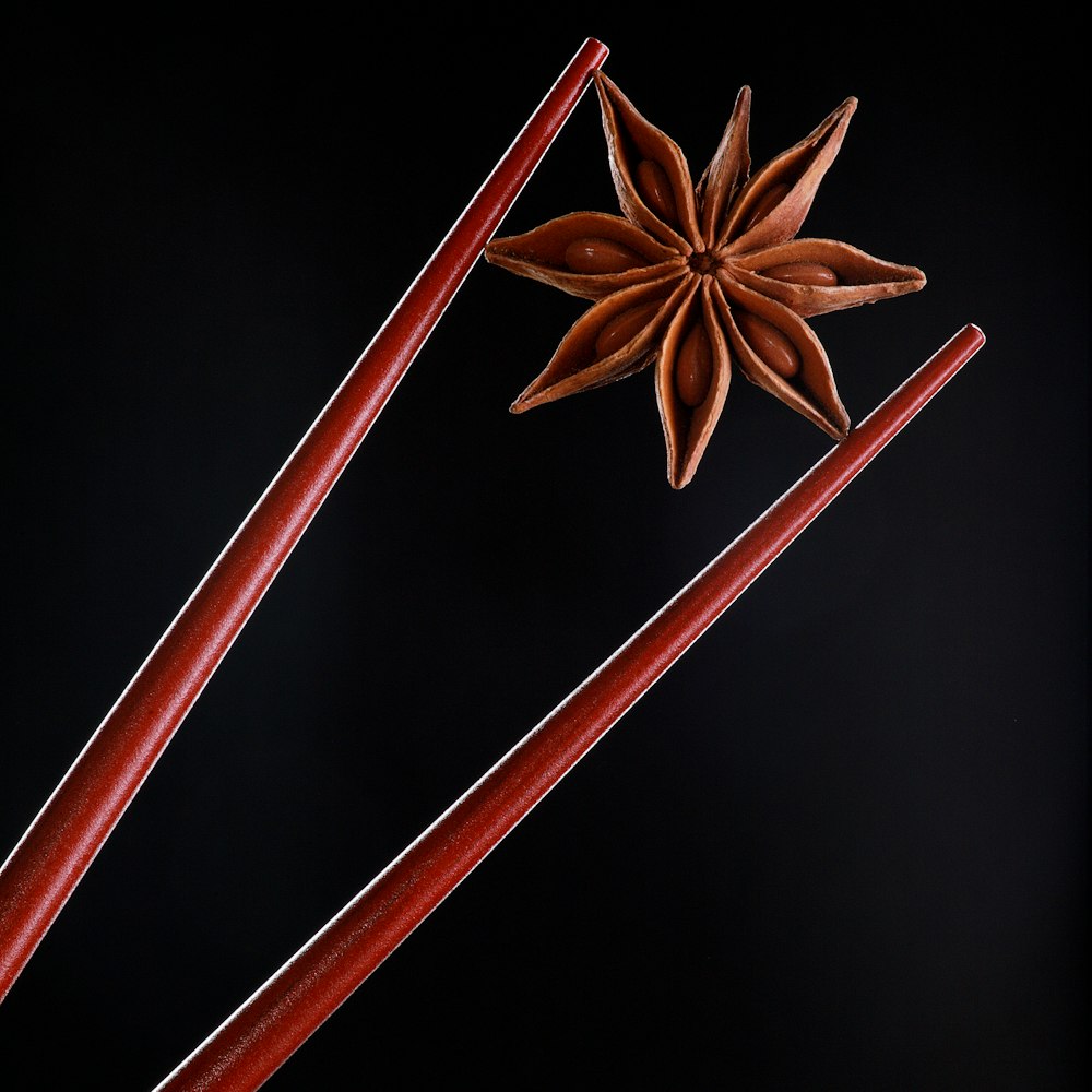 樱花粉陶瓷筷